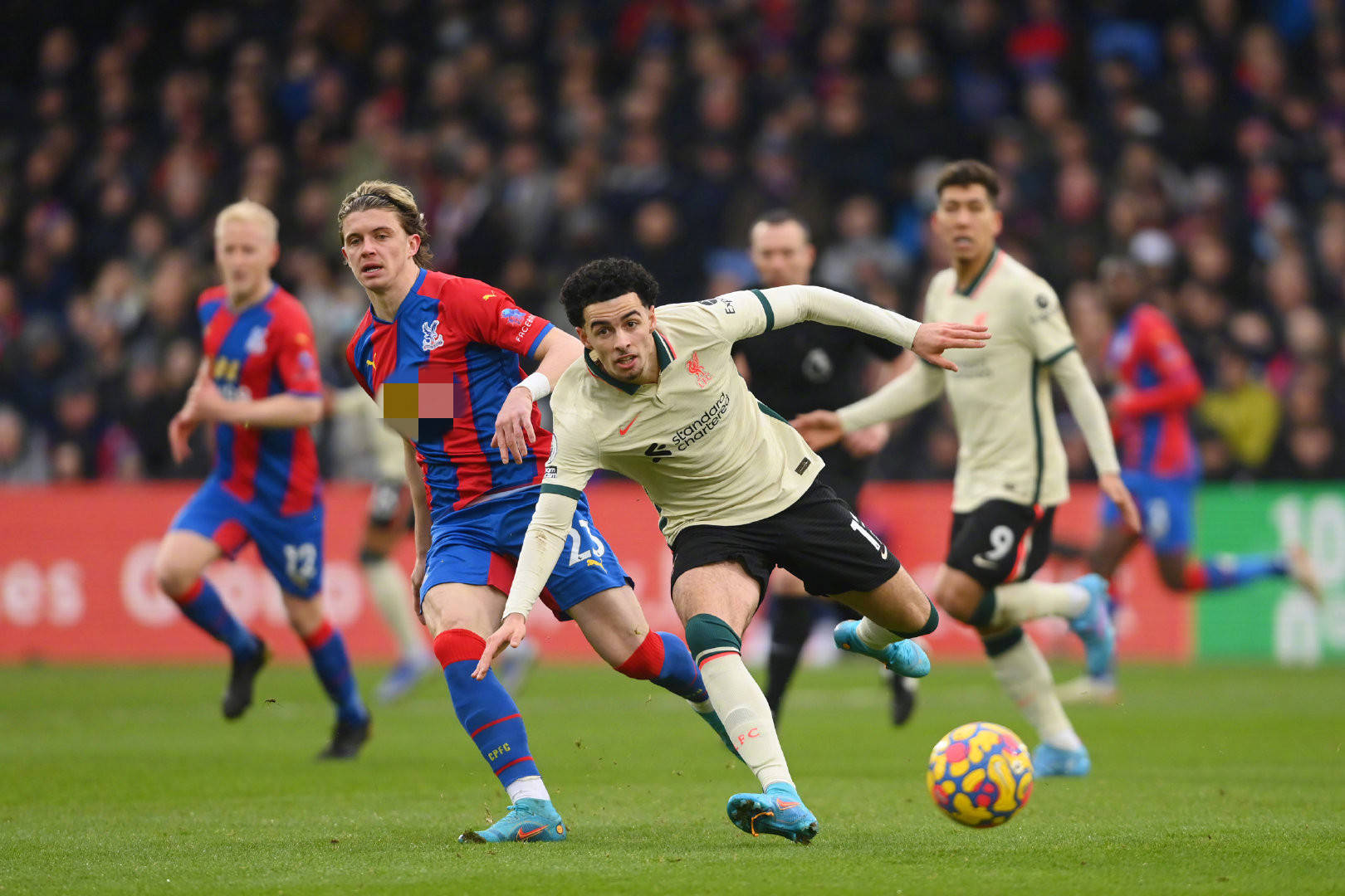 未来能否被 未来能否被